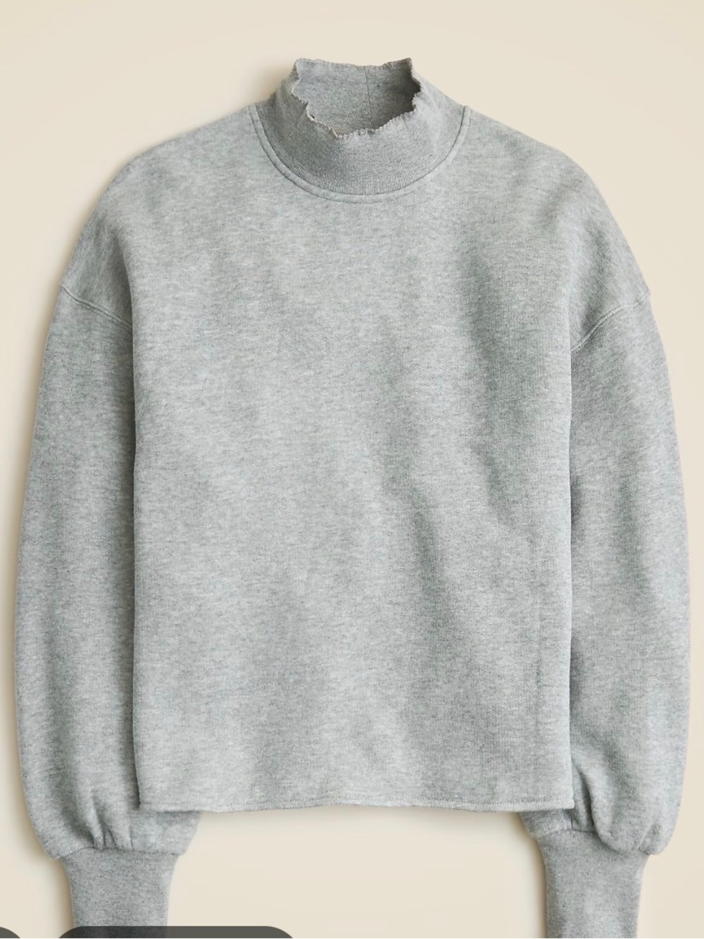 J Crew Heritage Terry Mockneck Sweatshirt